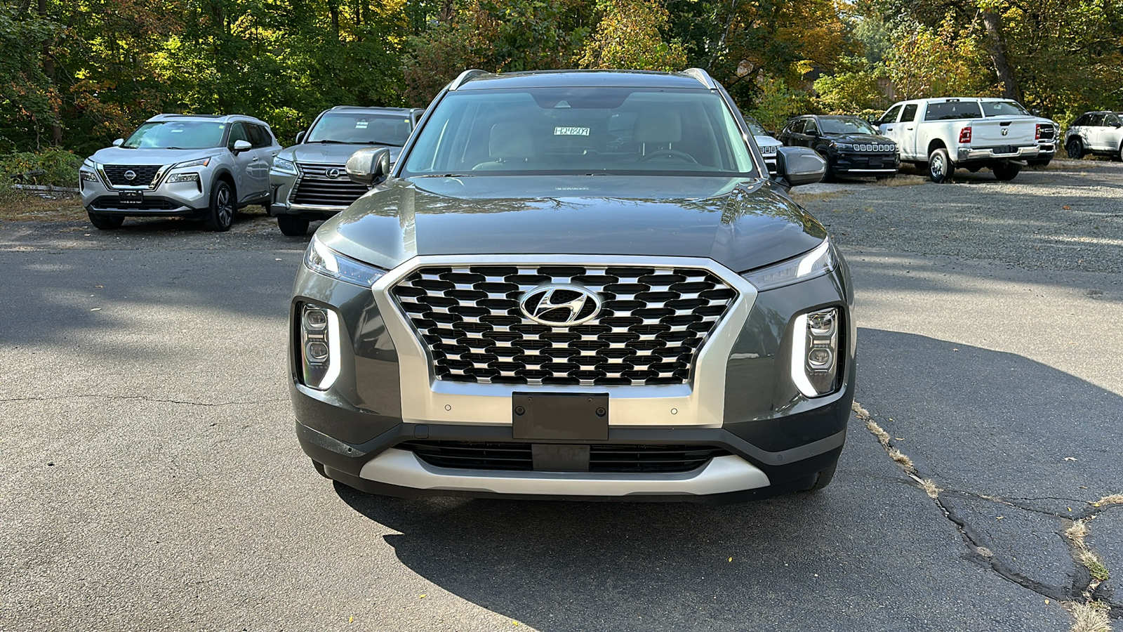 2021 Hyundai Palisade SEL 8