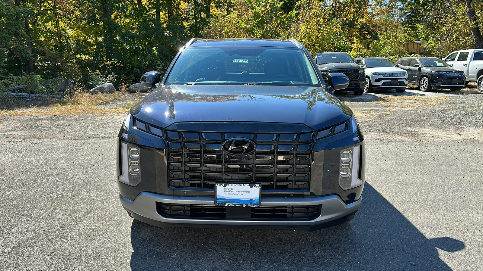 2024 Hyundai Palisade Limited 8