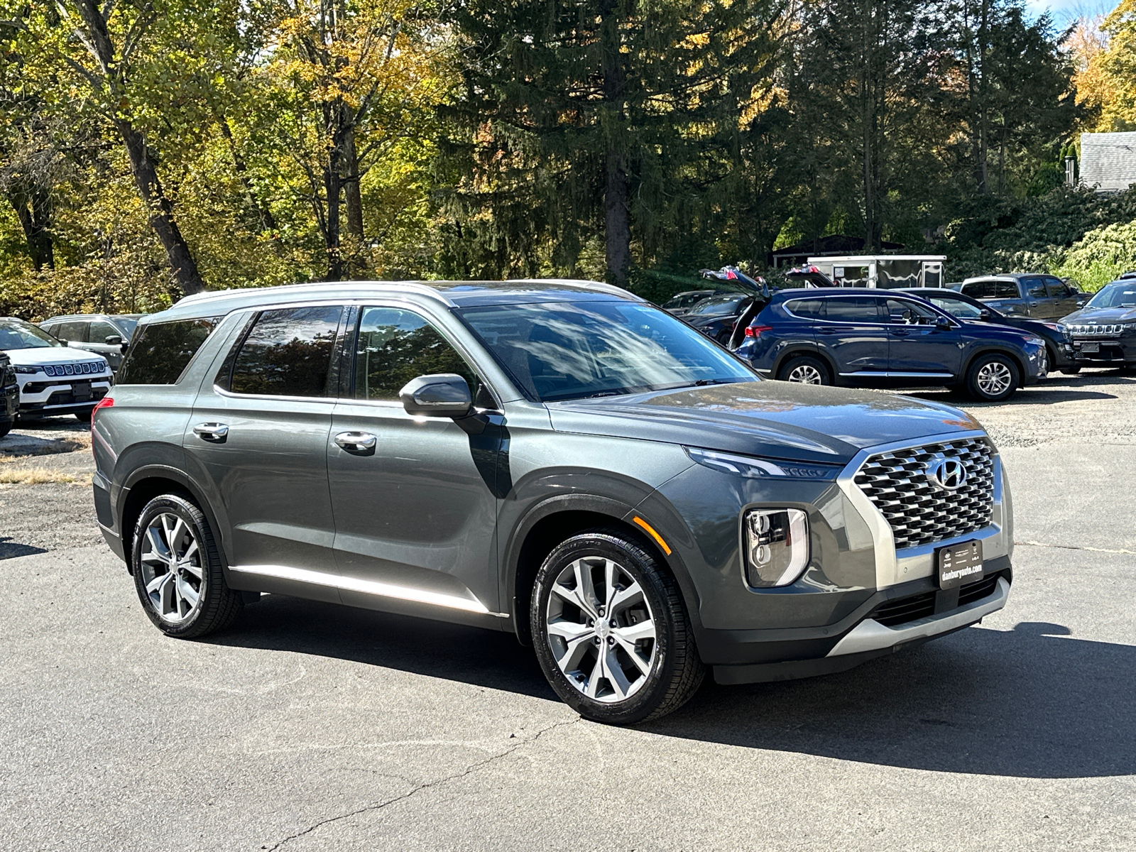 2021 Hyundai Palisade SEL 1