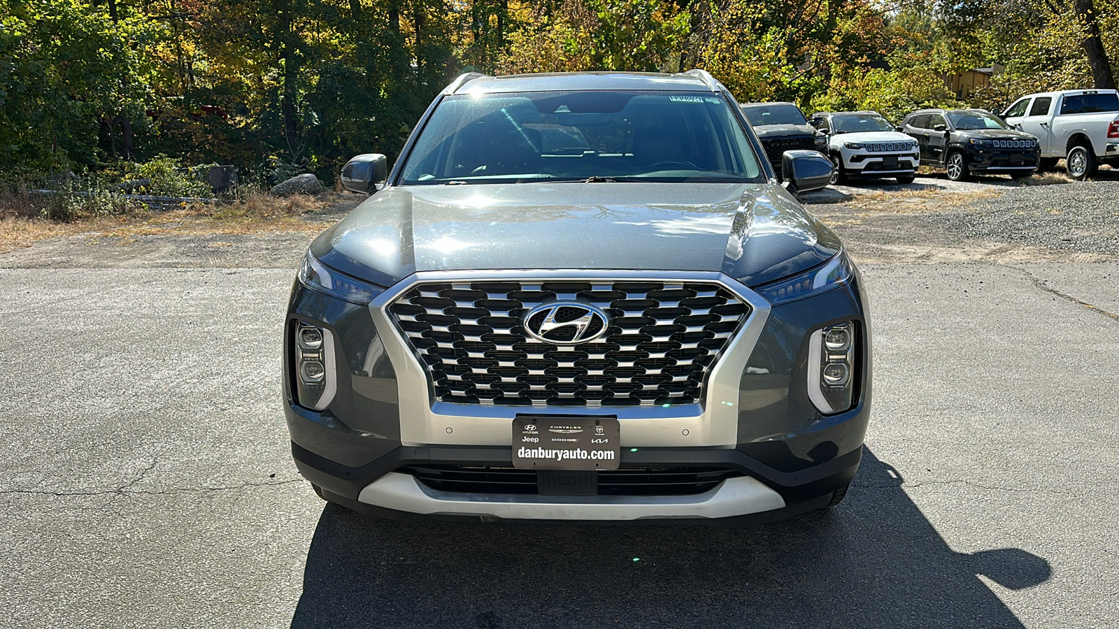 2021 Hyundai Palisade SEL 8