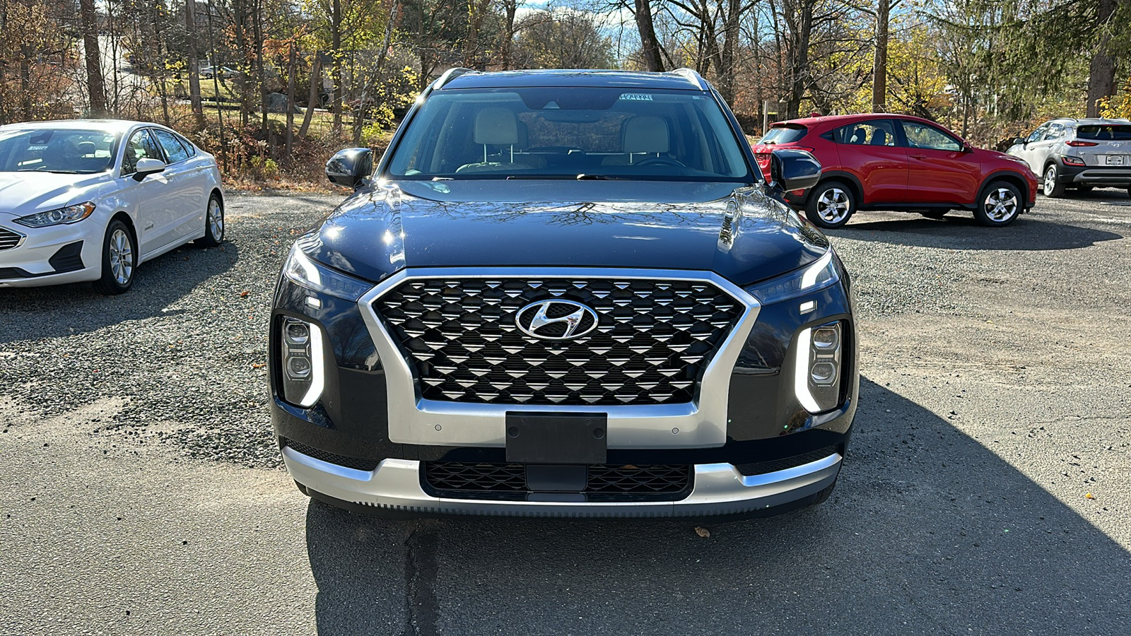 2021 Hyundai Palisade Calligraphy 8