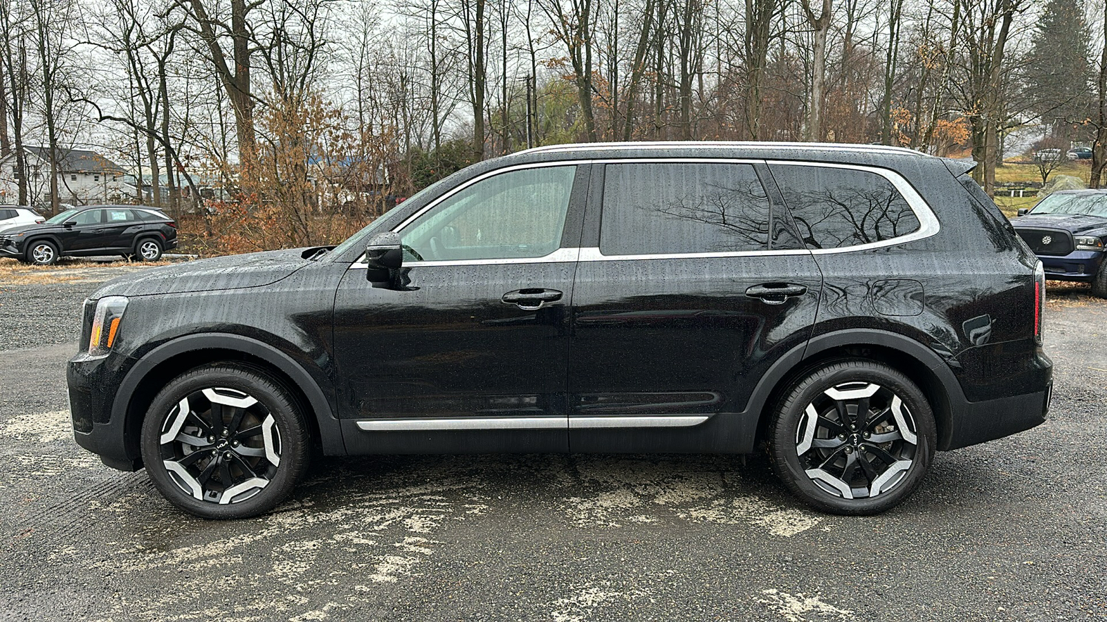 2024 Kia Telluride EX 6