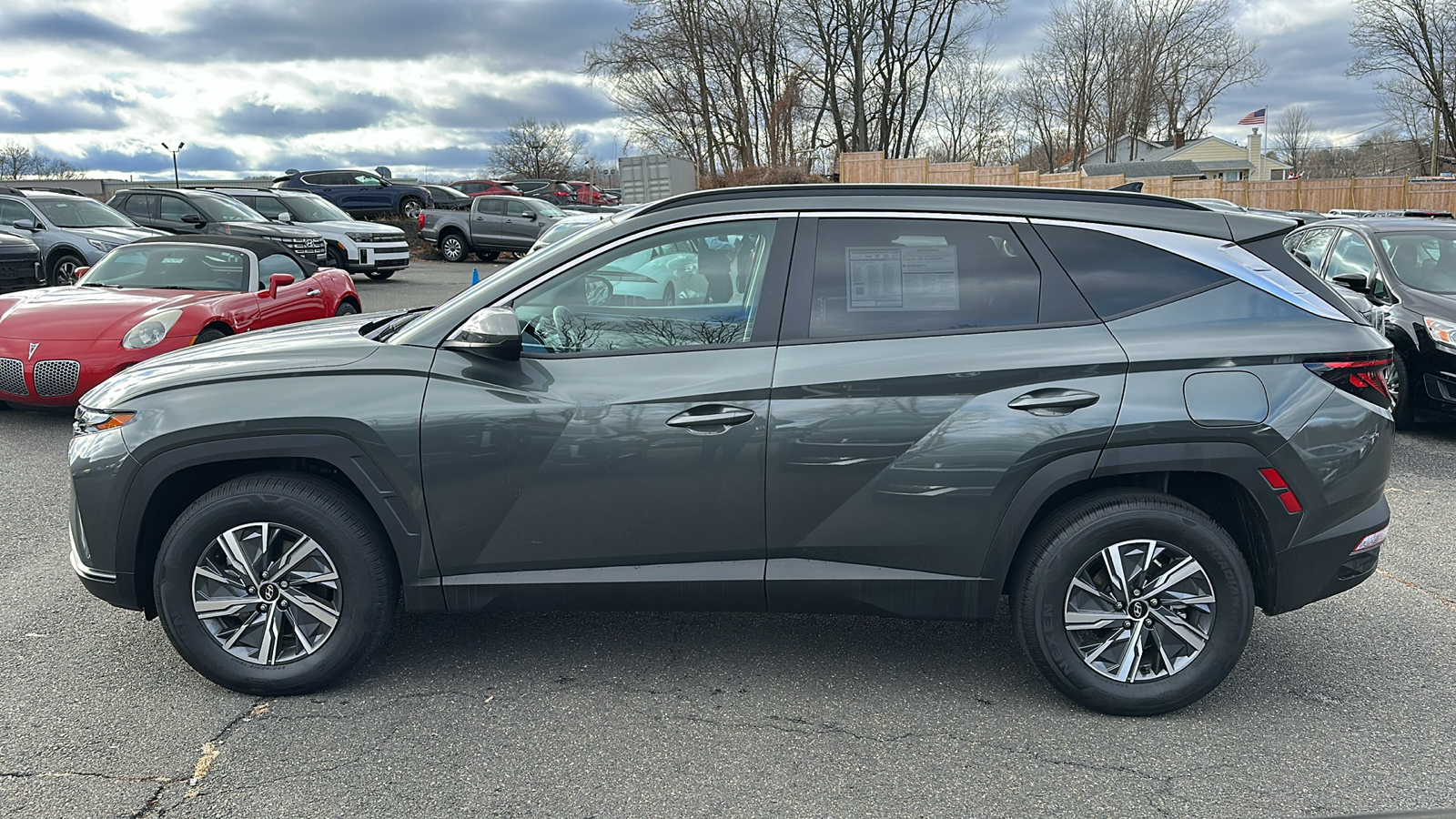 2024 Hyundai Tucson Hybrid Blue 6