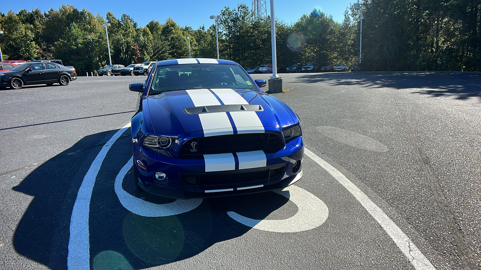 2013 Ford Mustang Shelby GT500 Shelby GT500 2