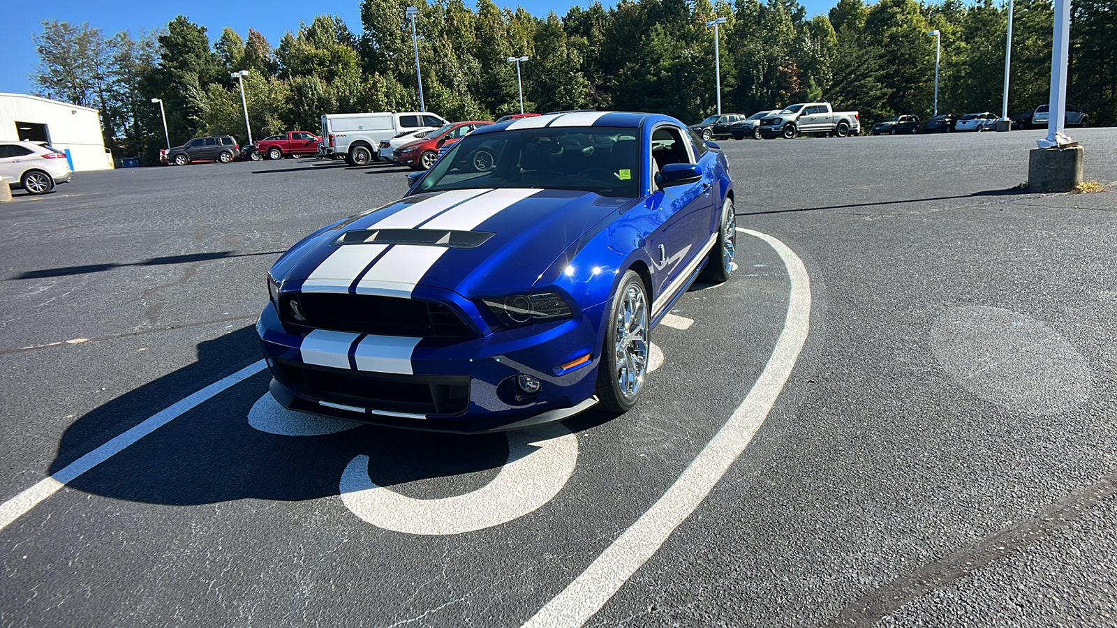 2013 Ford Mustang Shelby GT500 Shelby GT500 3