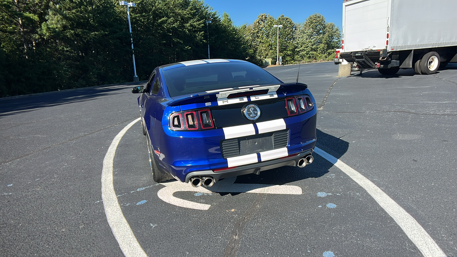 2013 Ford Mustang Shelby GT500 Shelby GT500 19