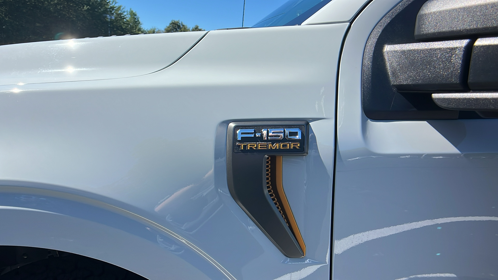 2024 Ford F-150 Tremor 5