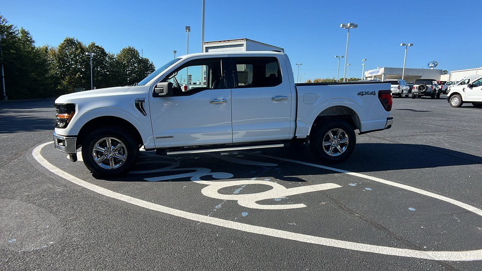 2024 Ford F-150 XLT 4