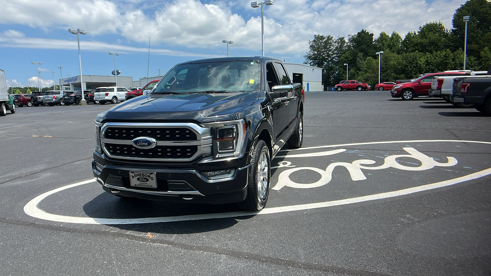 2021 Ford F-150 Platinum 3