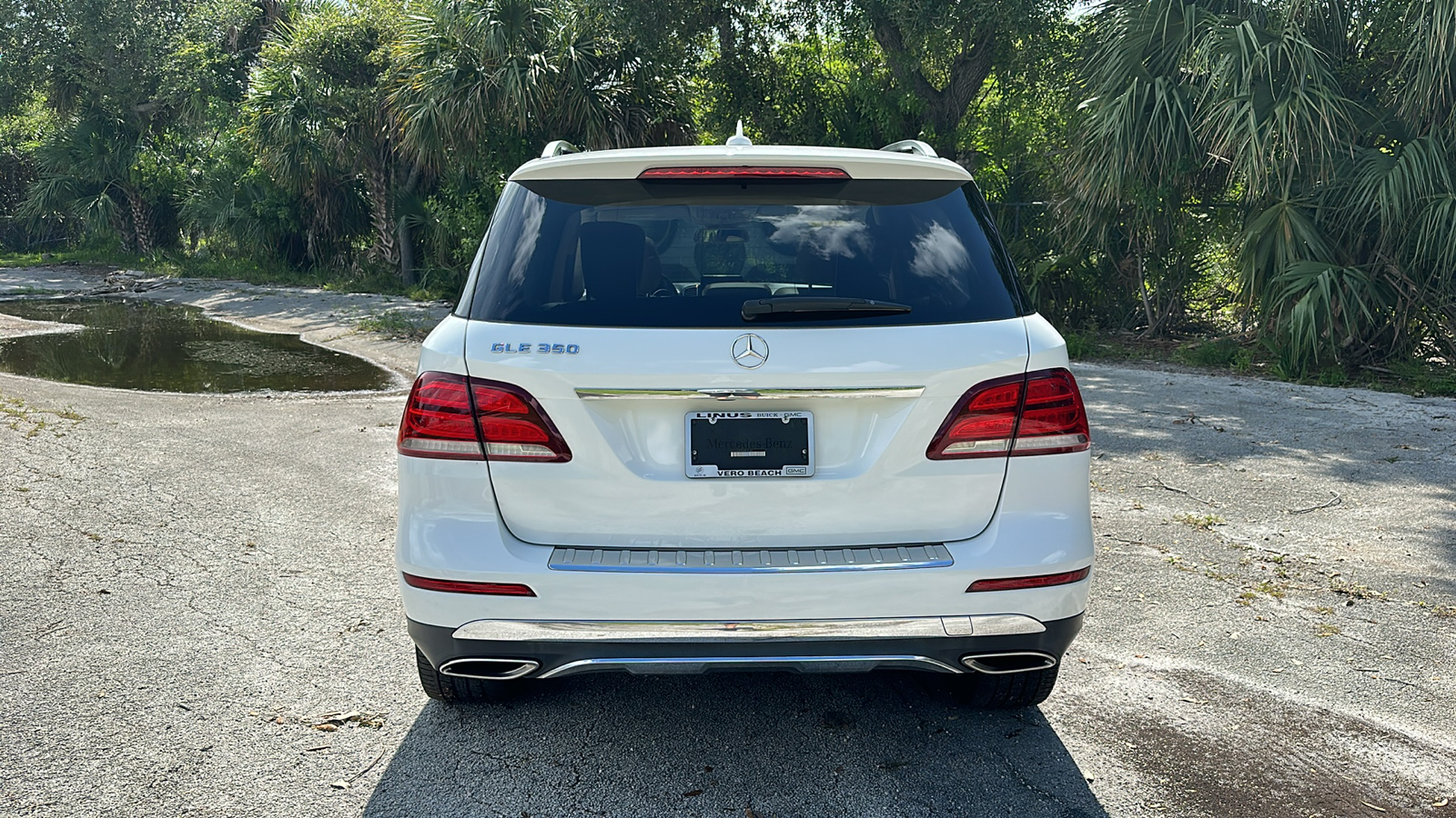 2017 Mercedes-Benz GLE GLE 350 6