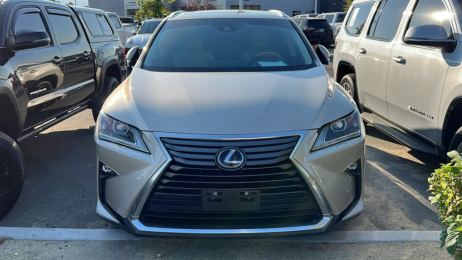 2019 Lexus RX  2