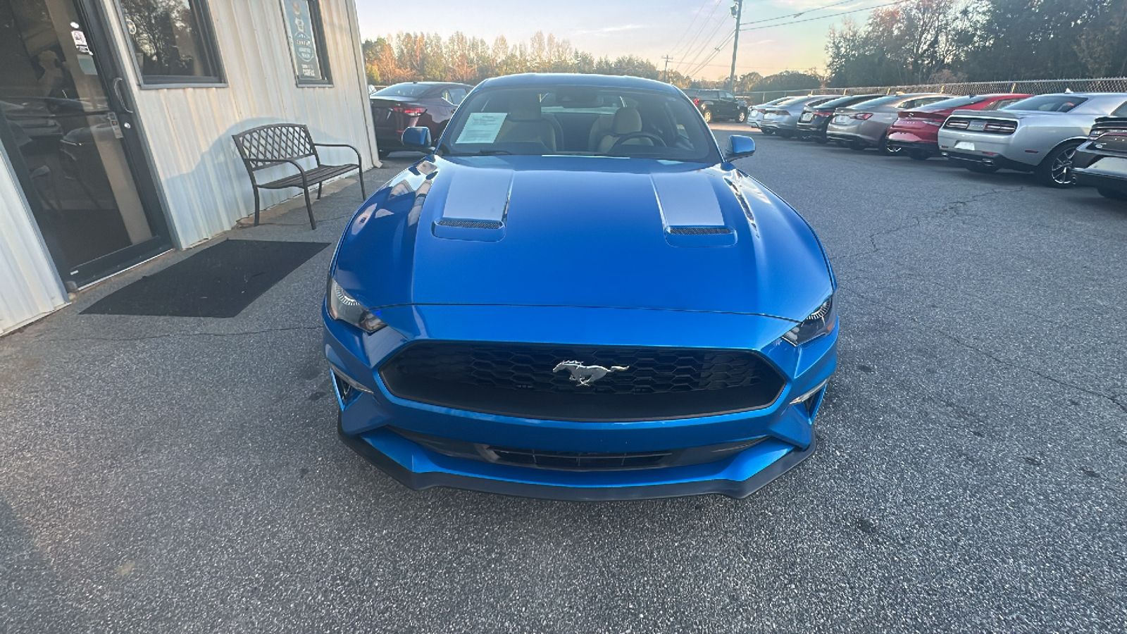 2021 Ford Mustang ECO Premium 3