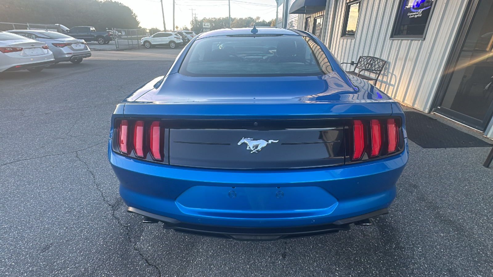 2021 Ford Mustang ECO Premium 6