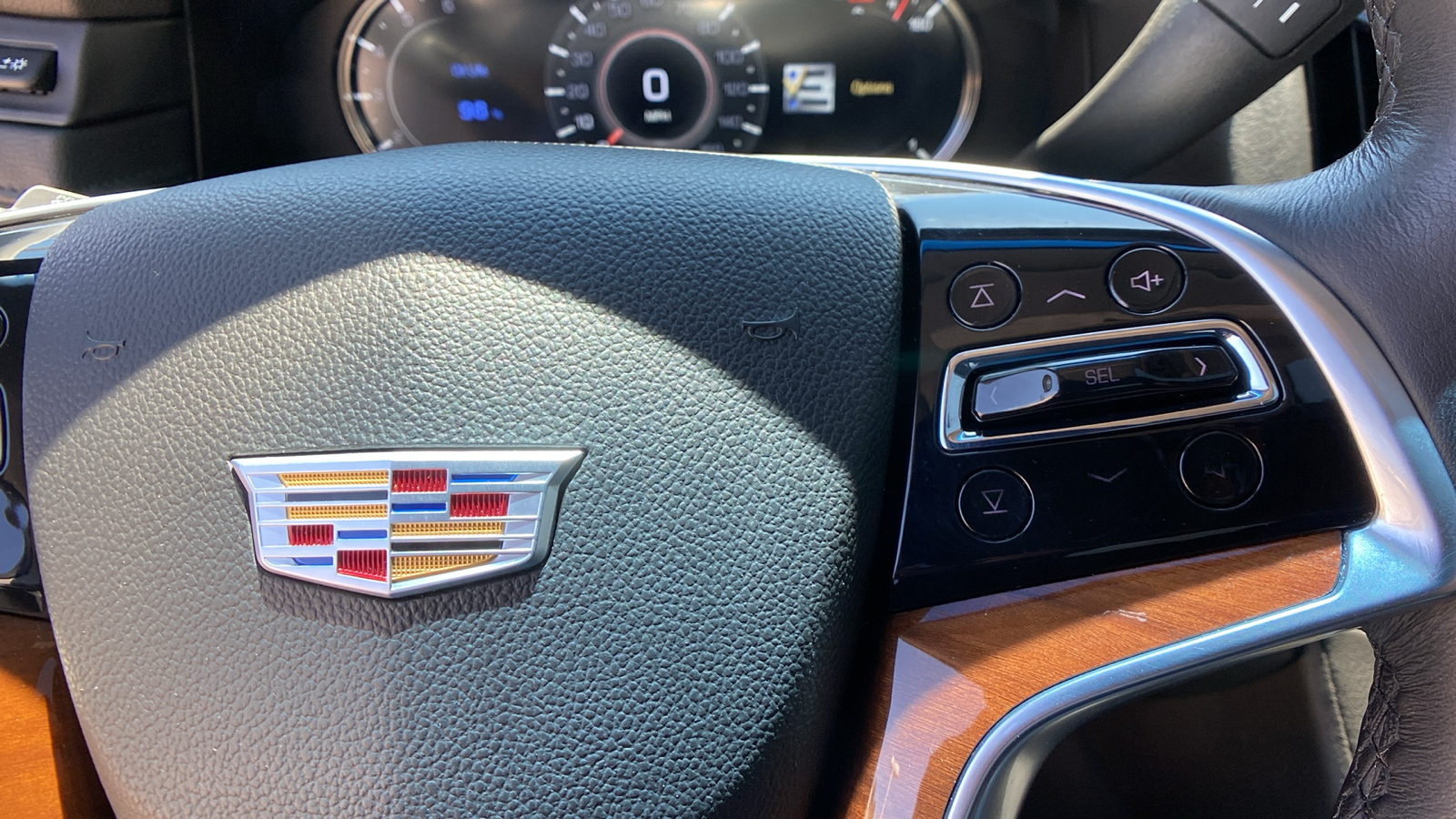 2019 Cadillac Escalade 4WD 4dr Luxury 22