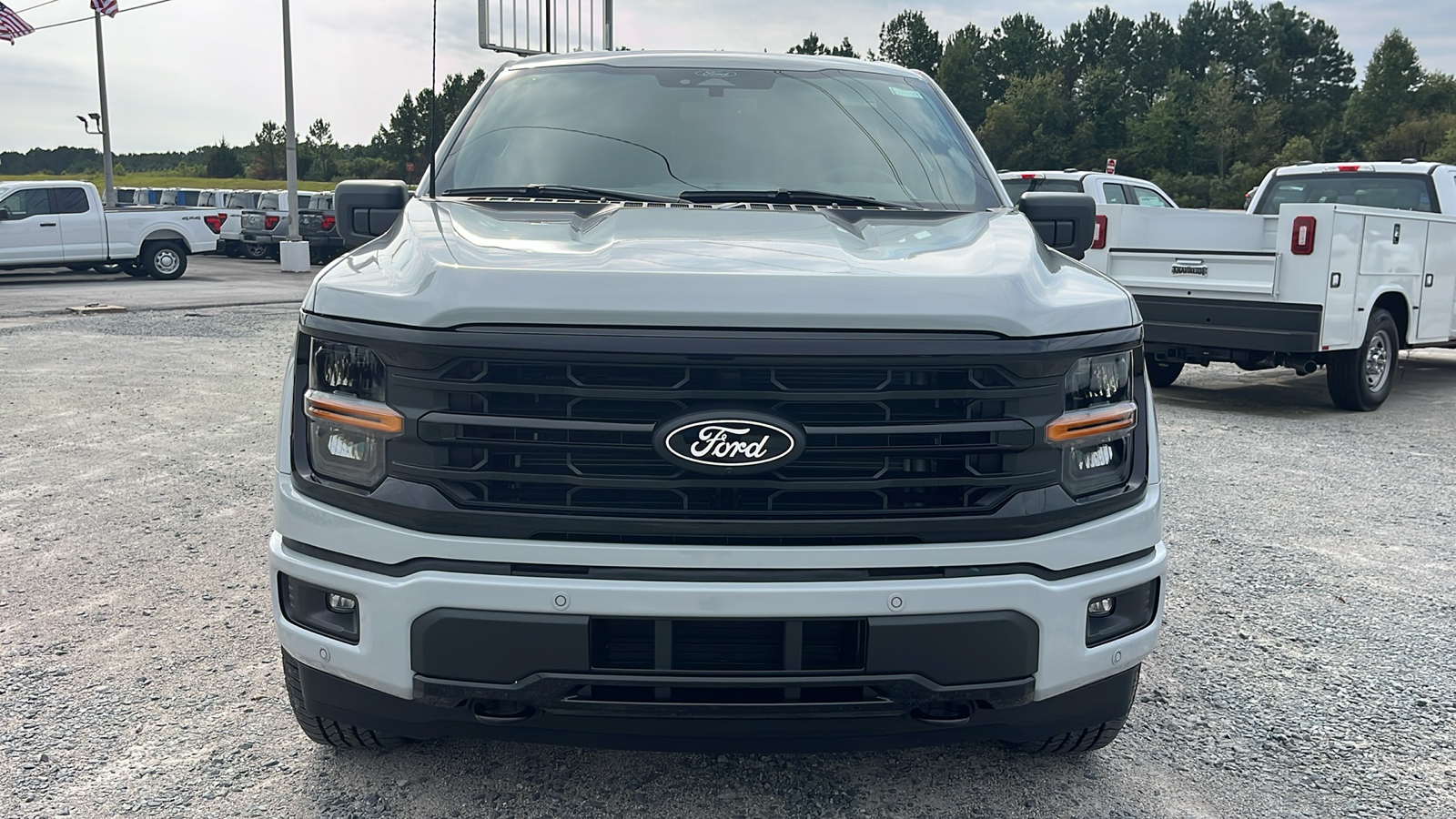 2024 Ford F-150 XLT 2