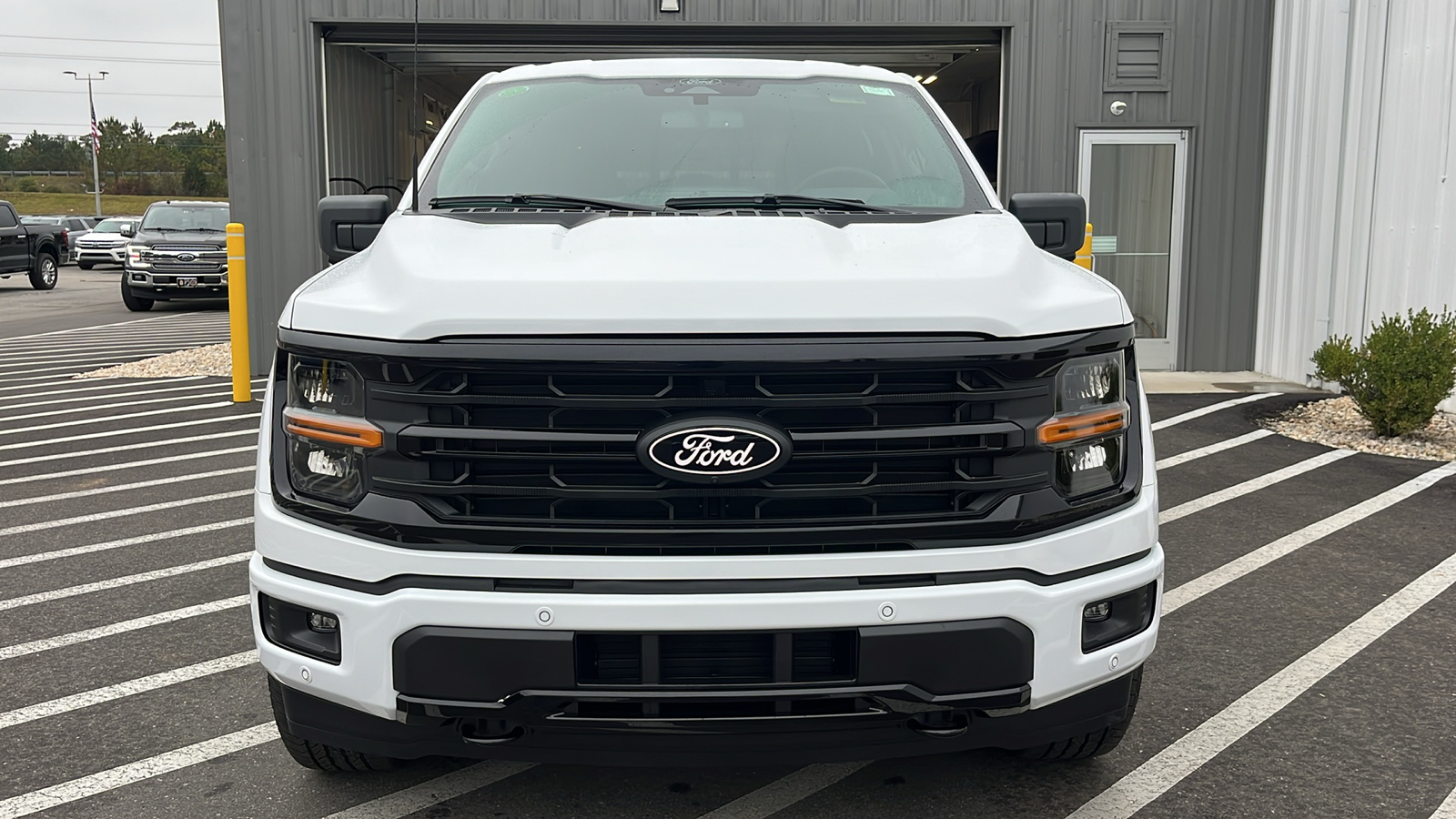 2024 Ford F-150 XLT 2