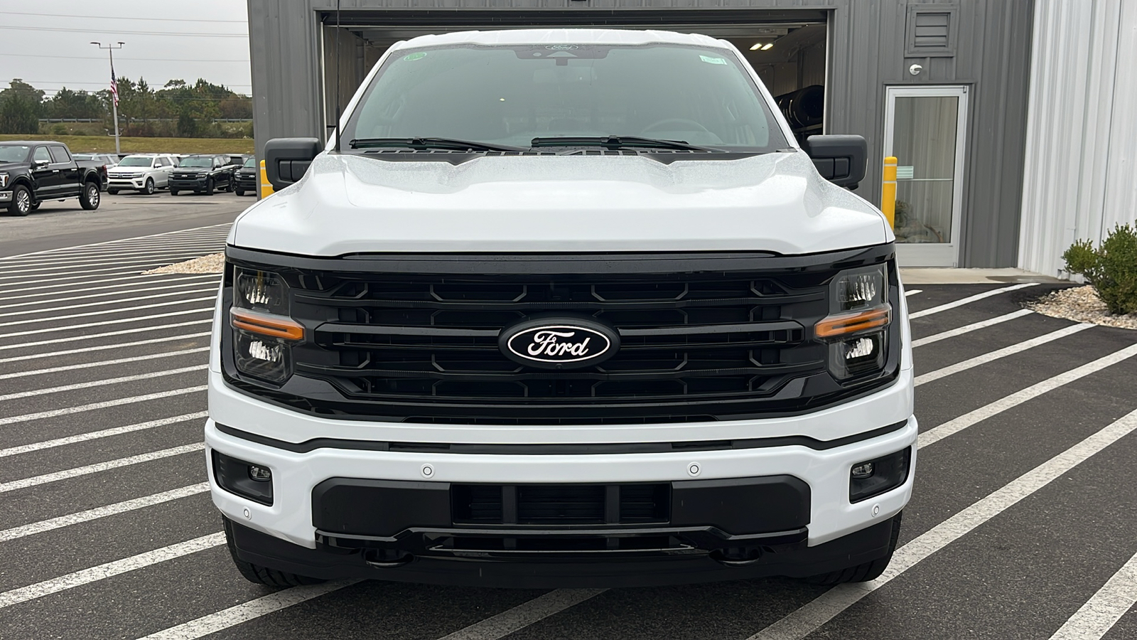 2024 Ford F-150 XLT 2