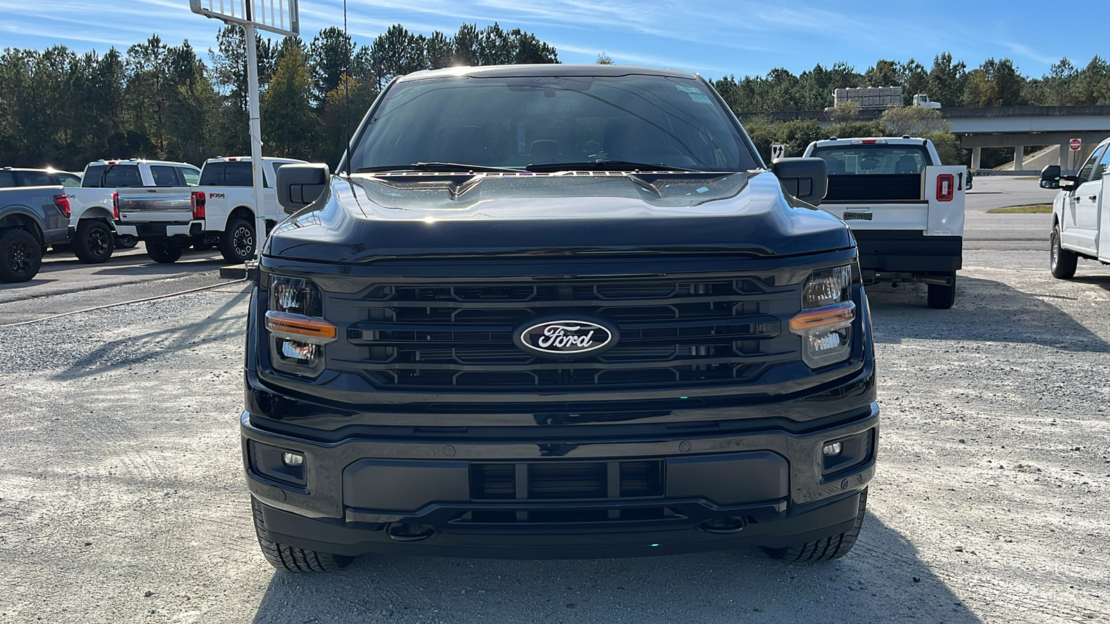 2024 Ford F-150 XLT 2