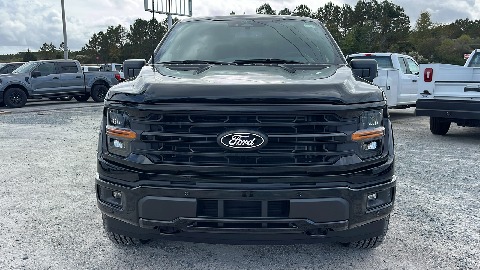 2024 Ford F-150 XLT 2