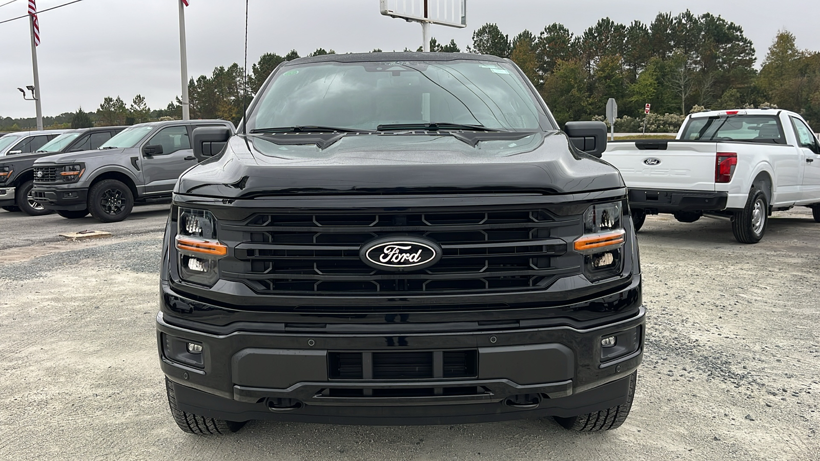 2024 Ford F-150 XLT 2