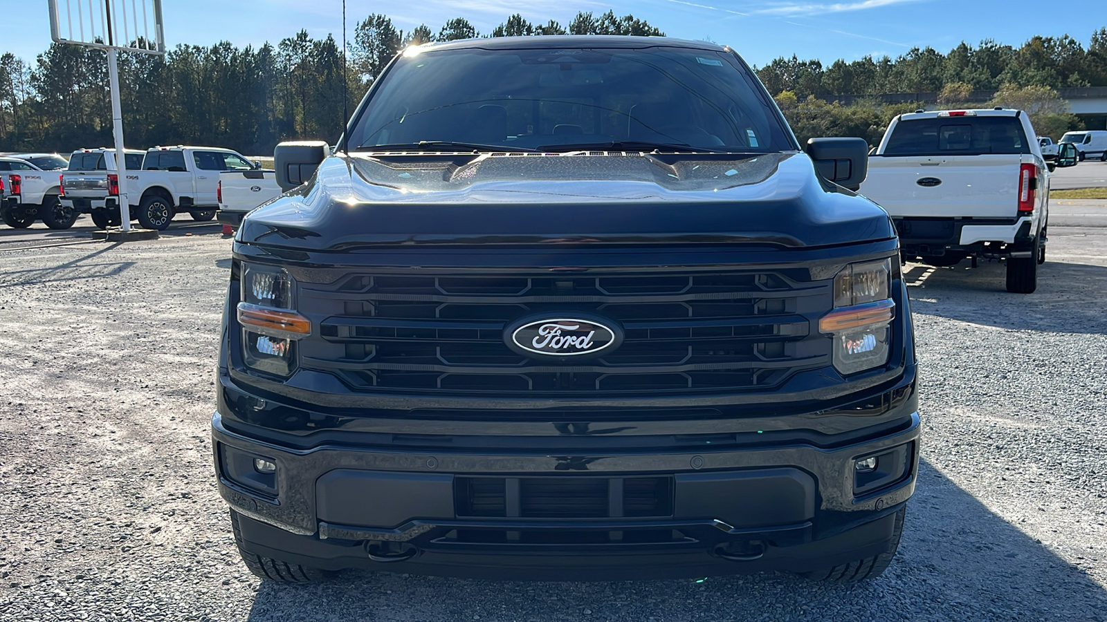 2024 Ford F-150 XLT 2