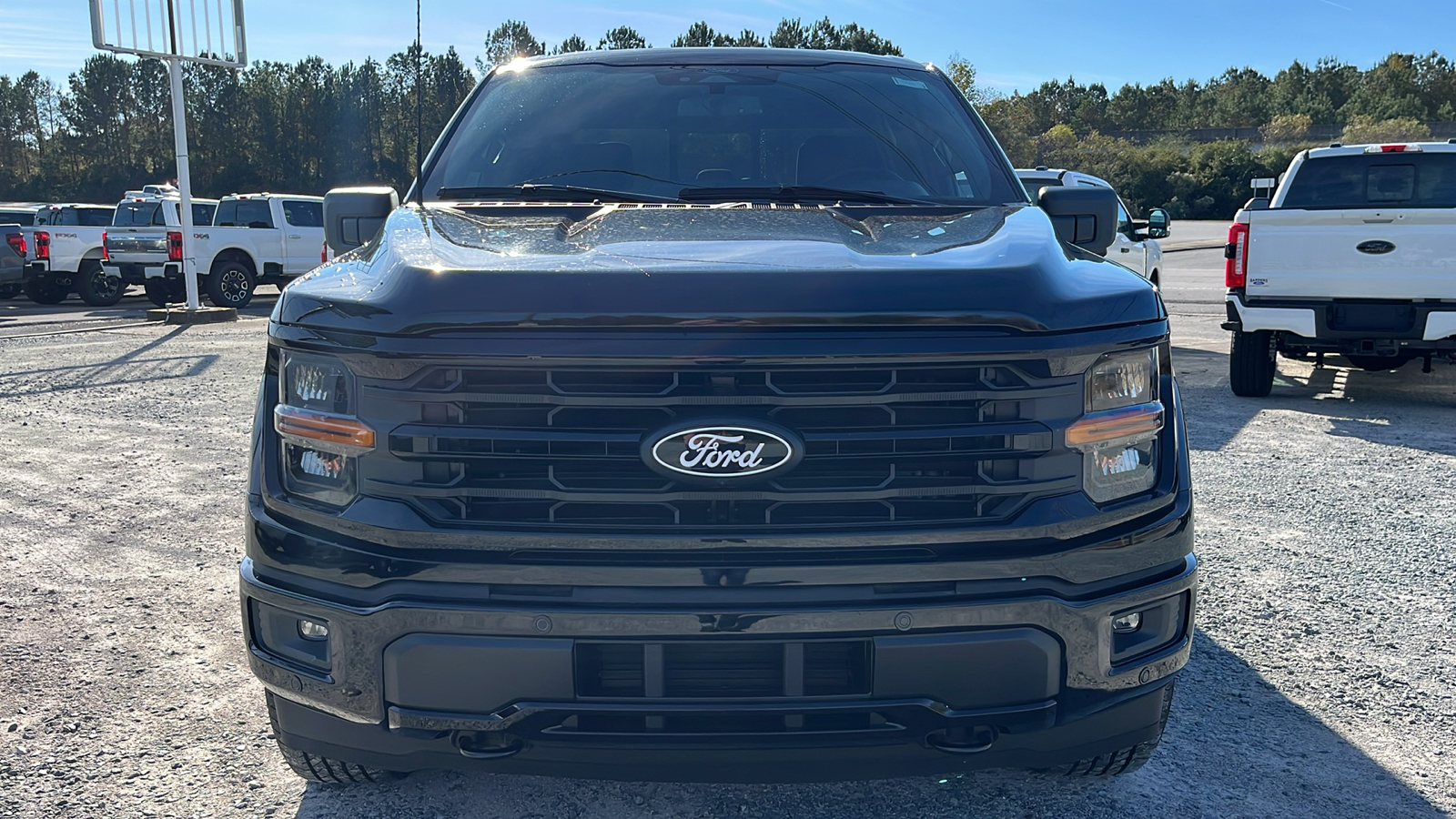 2024 Ford F-150 XLT 2