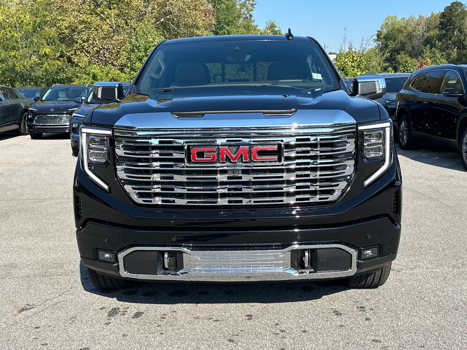 2025 GMC Sierra 1500 Denali 3