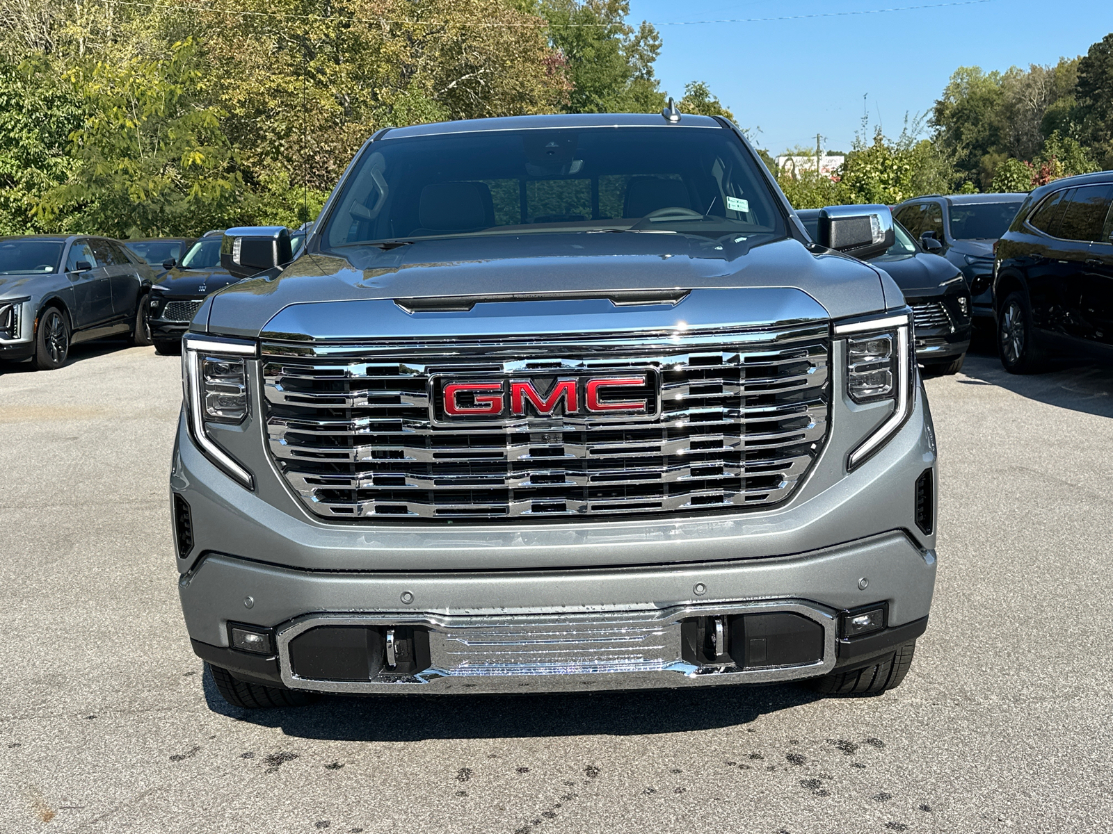 2025 GMC Sierra 1500 Denali 3