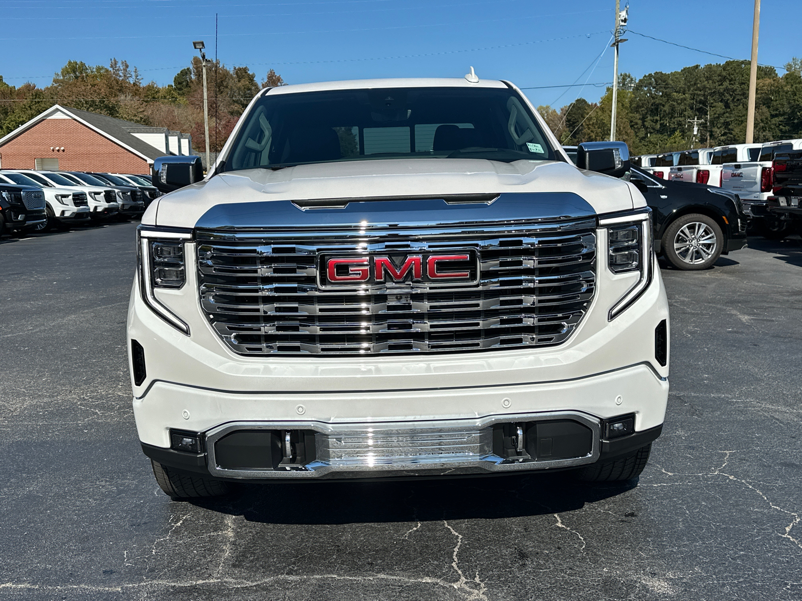 2025 GMC Sierra 1500 Denali 3