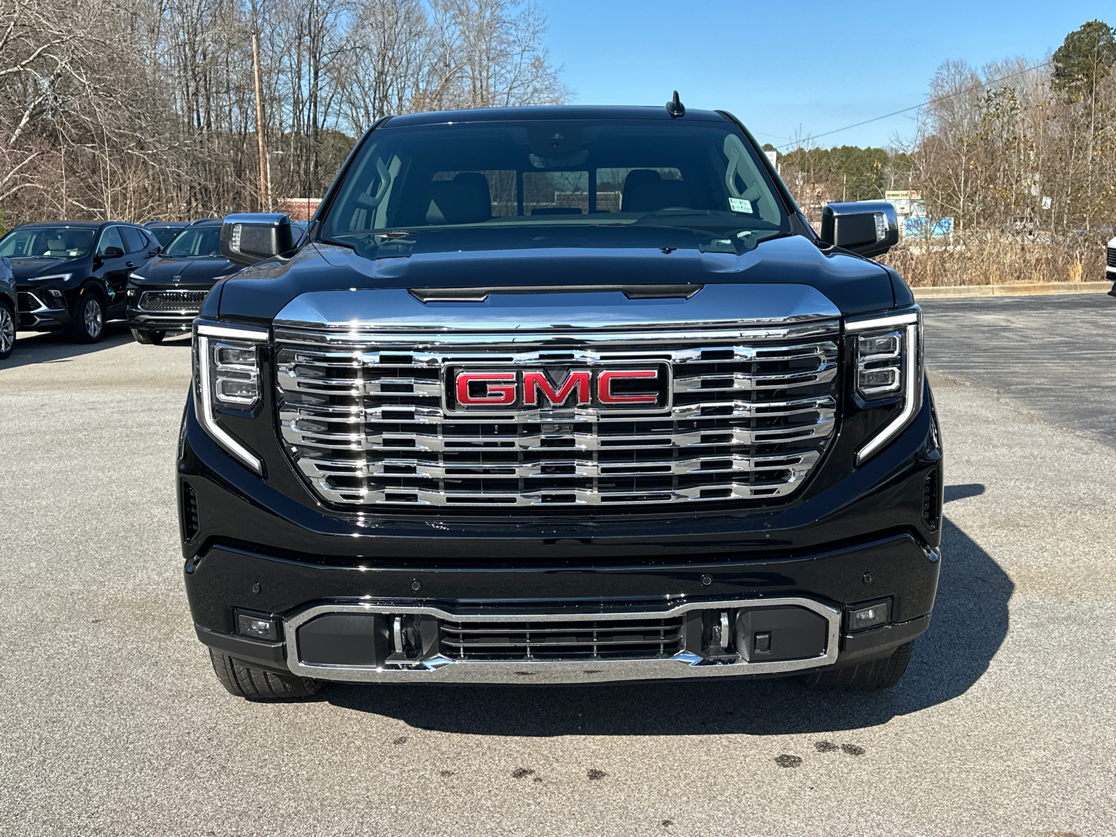 2025 GMC Sierra 1500 Denali 3