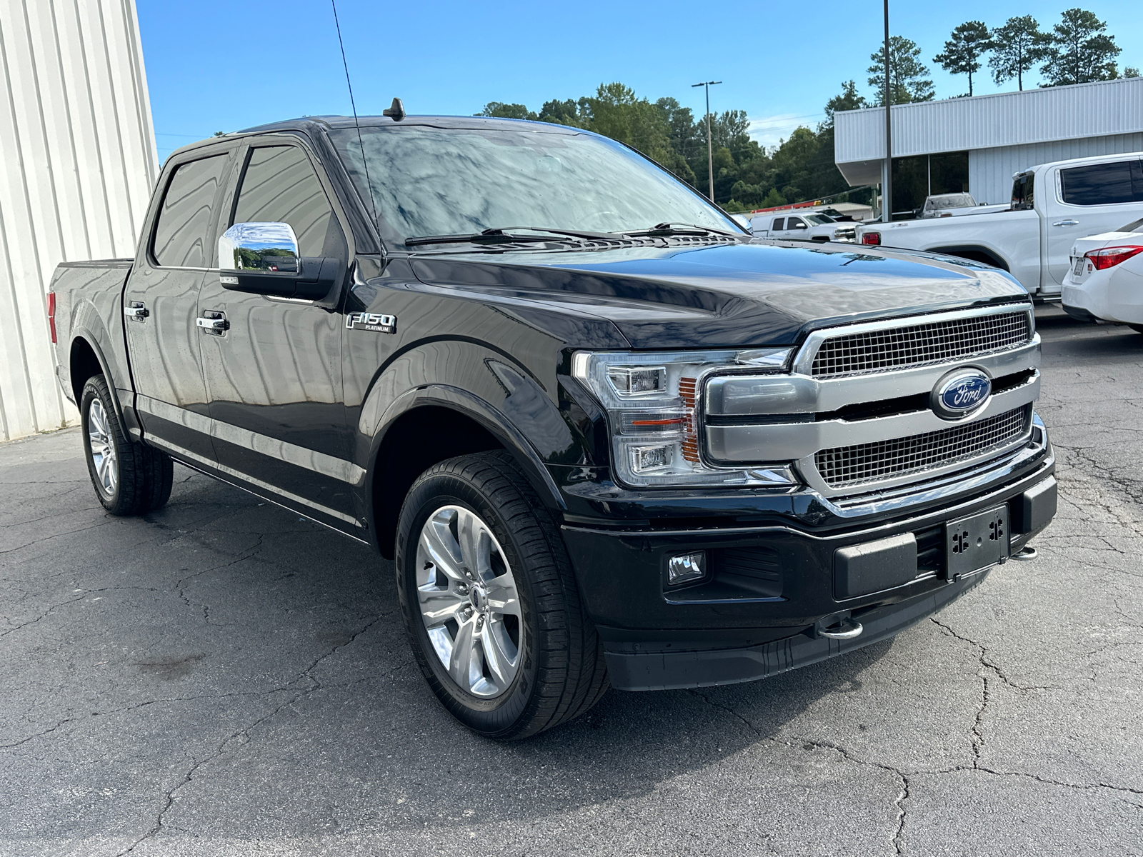 2020 Ford F-150 Platinum 4