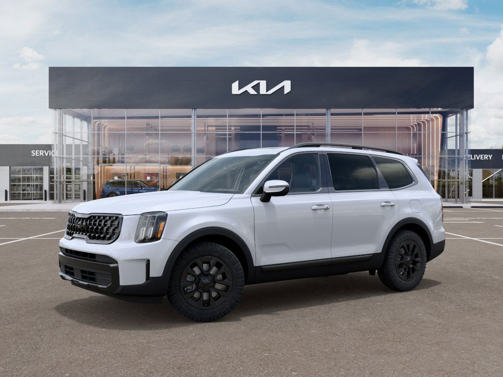 2025 Kia Telluride EX 3