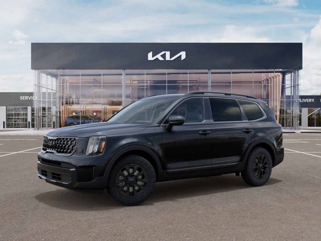 2025 Kia Telluride EX 3