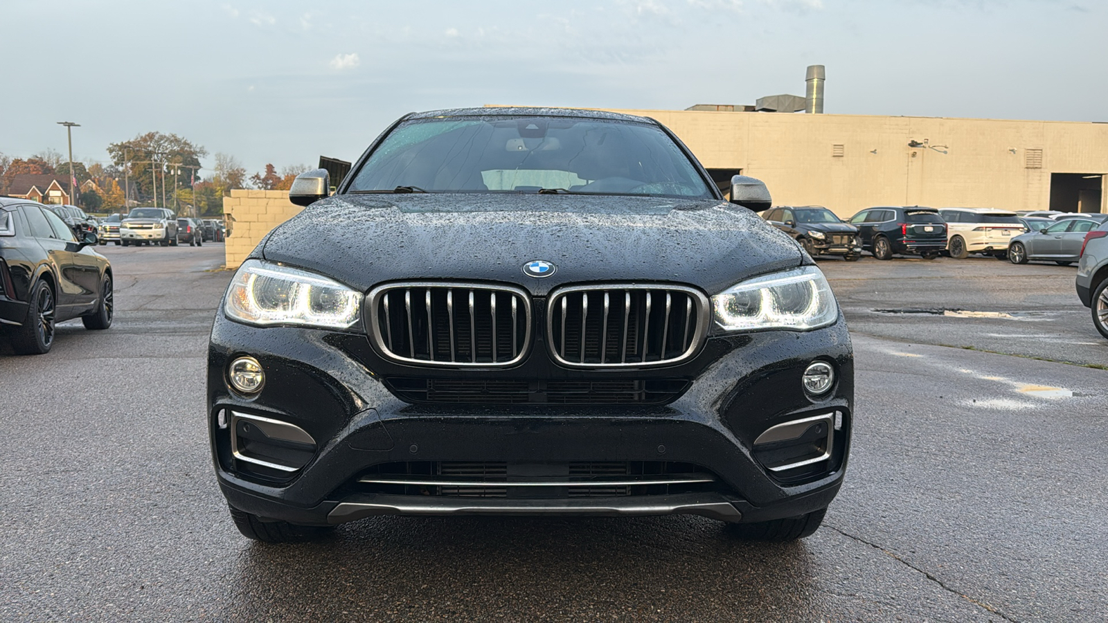 2018 BMW X6 xDrive35i 9