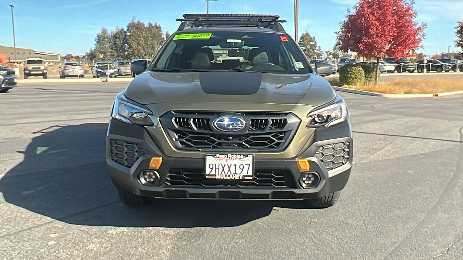 2024 Subaru Outback Wilderness 8