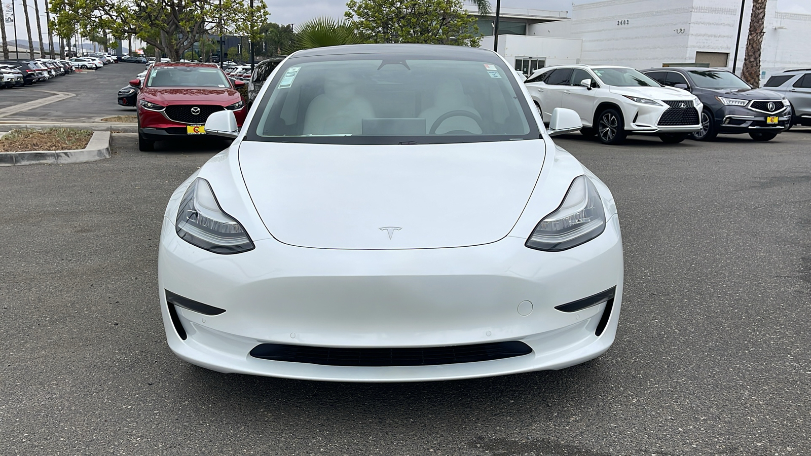 2020 Tesla Model 3 Standard Range Plus Rear-Wheel Drive 3