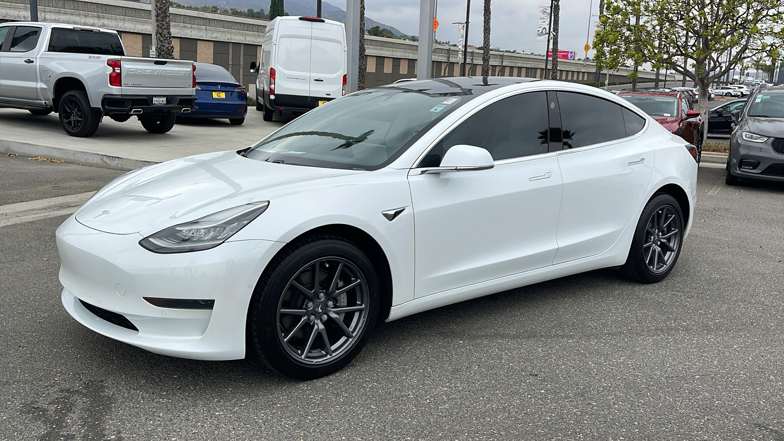 2020 Tesla Model 3 Standard Range Plus Rear-Wheel Drive 13