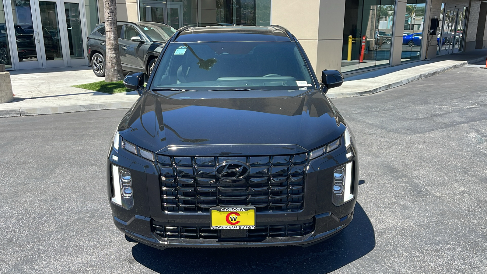 2024 Hyundai Palisade Calligraphy Night Edition 2