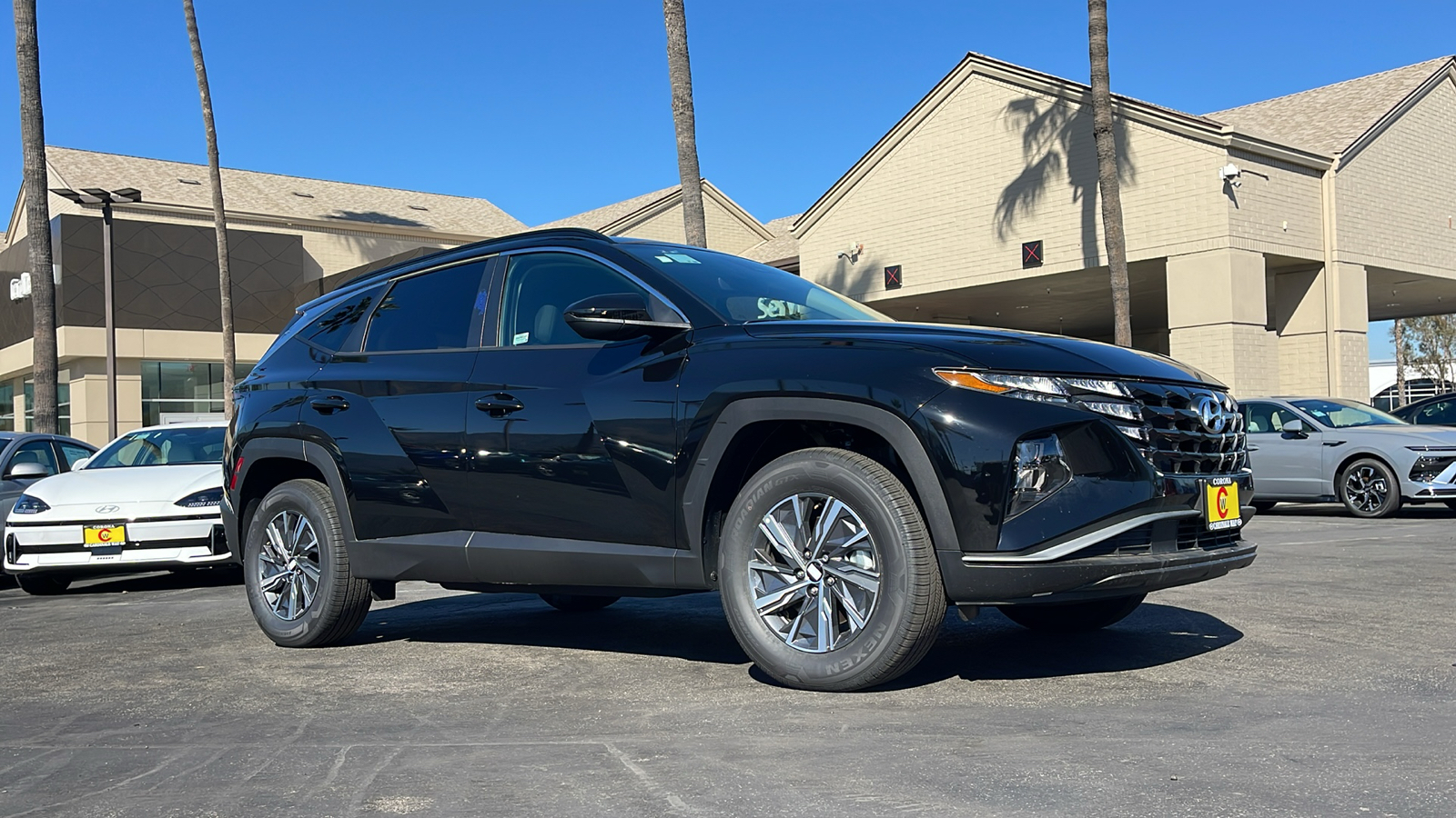 2024 Hyundai Tucson Hybrid Blue 1