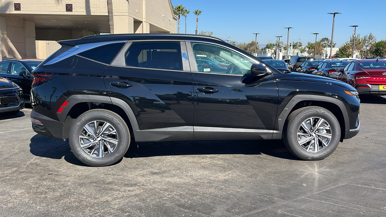 2024 Hyundai Tucson Hybrid Blue 6