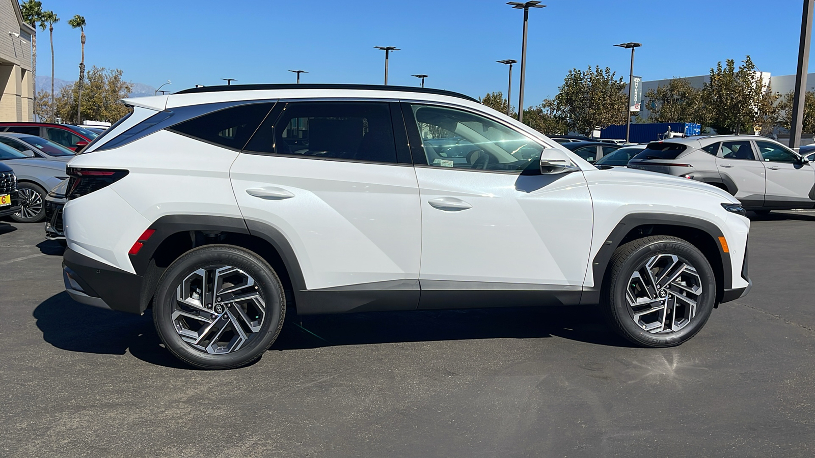 2025 Hyundai Tucson Hybrid Limited 6