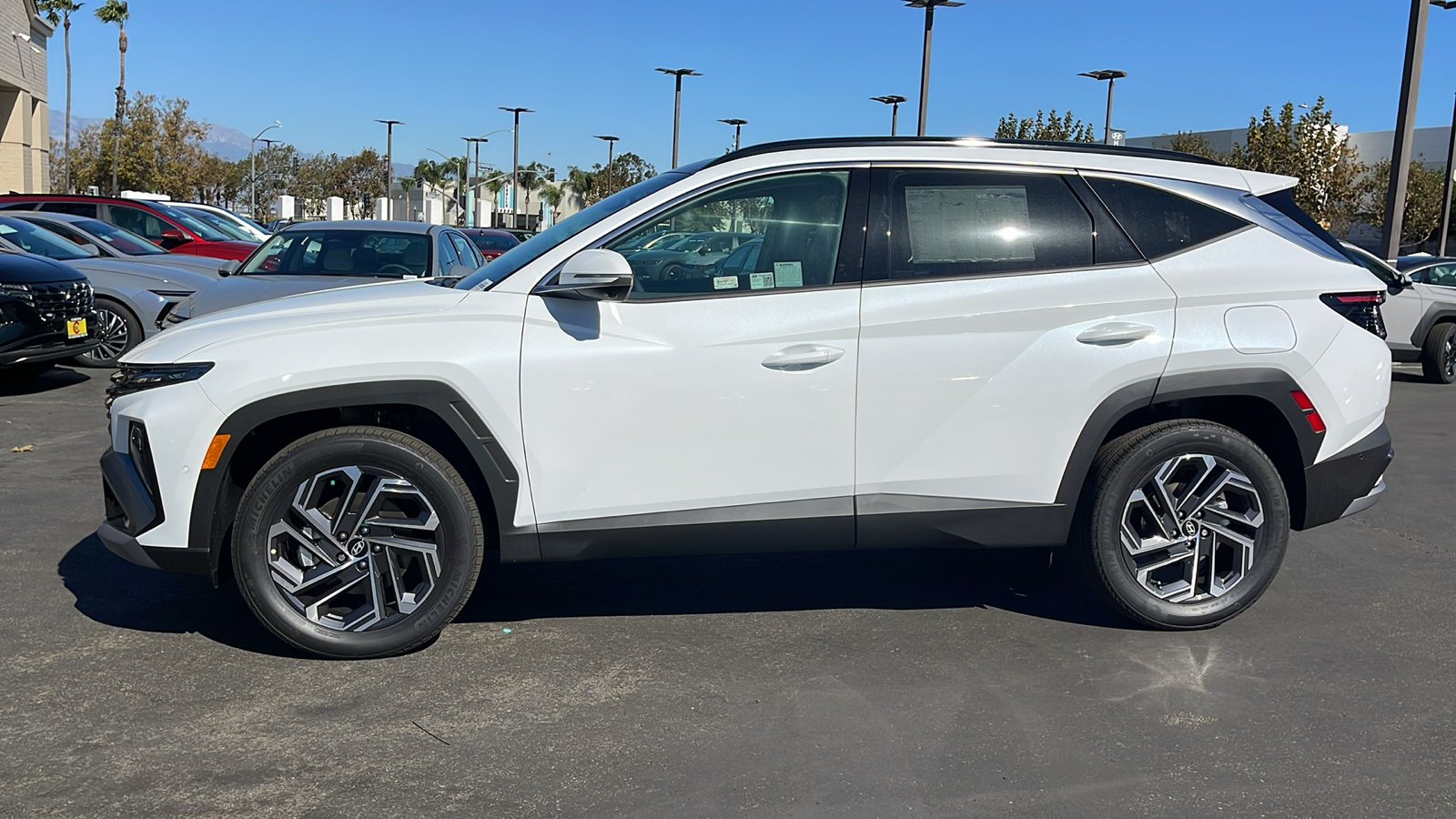 2025 Hyundai Tucson Hybrid Limited 12