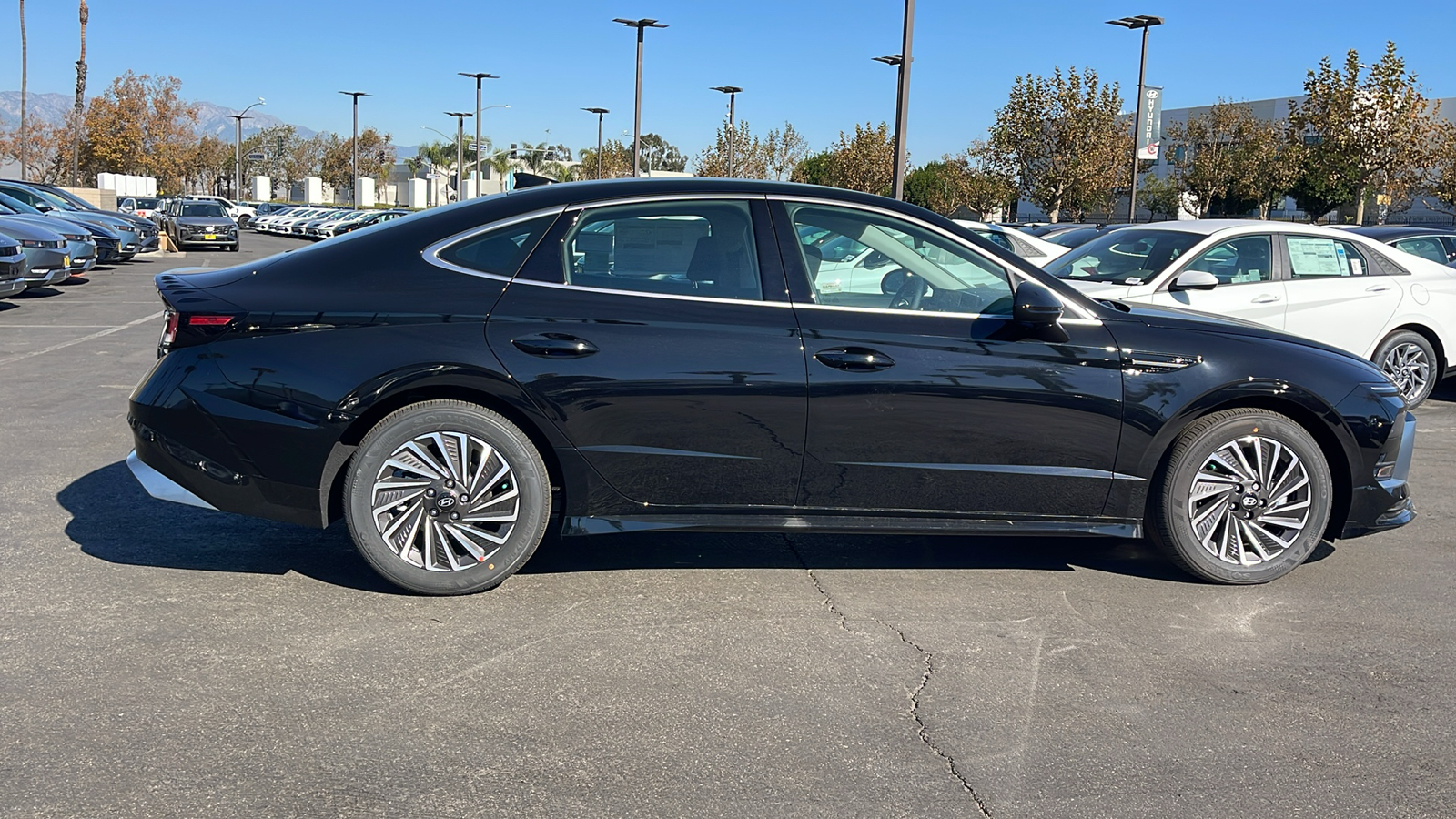 2025 Hyundai Sonata Hybrid SEL 6