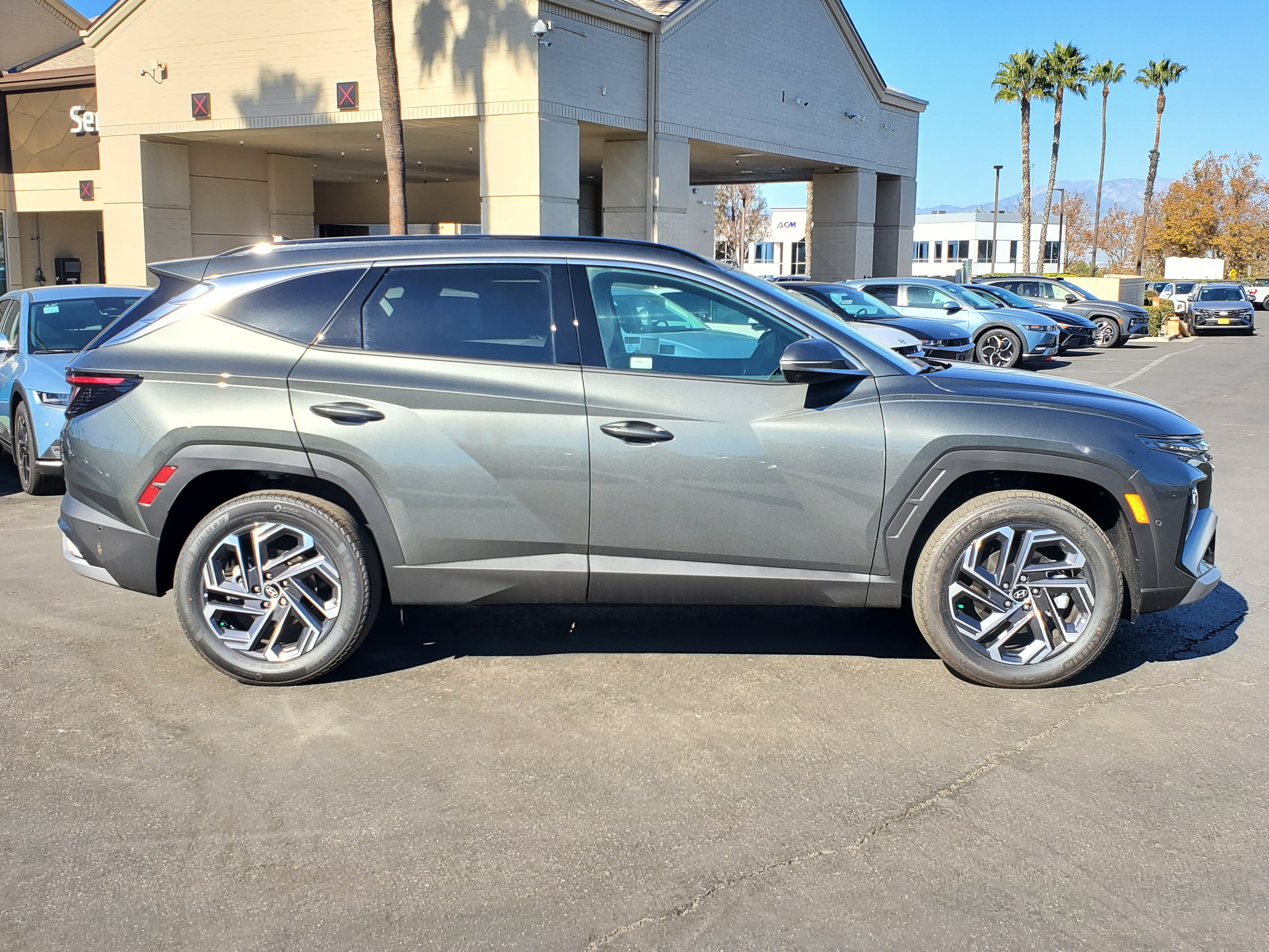 2025 Hyundai Tucson Hybrid Limited 6