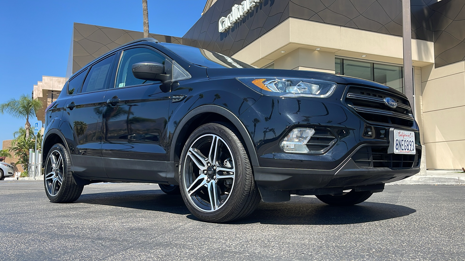 2019 Ford Escape SEL 5