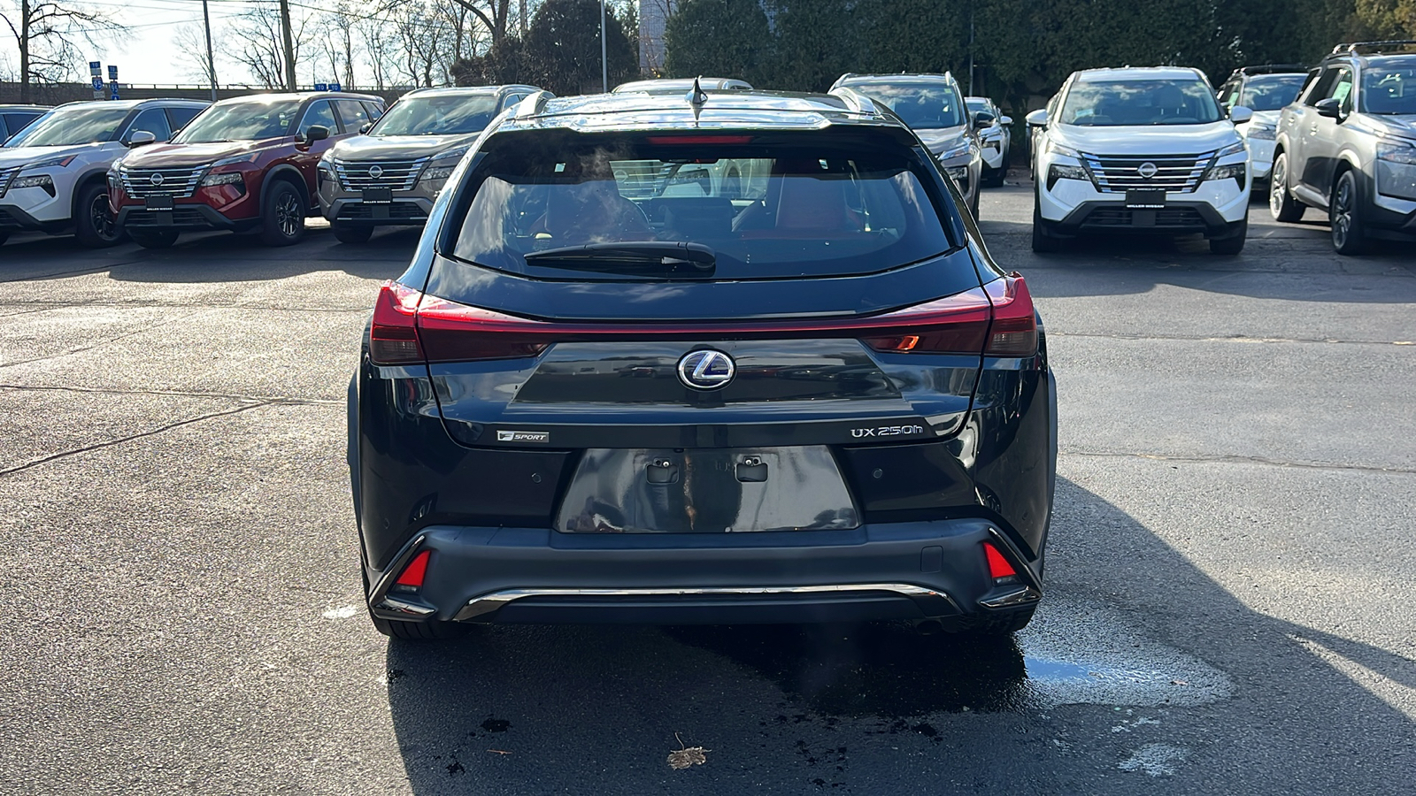 2021 Lexus UX 250h F SPORT 4