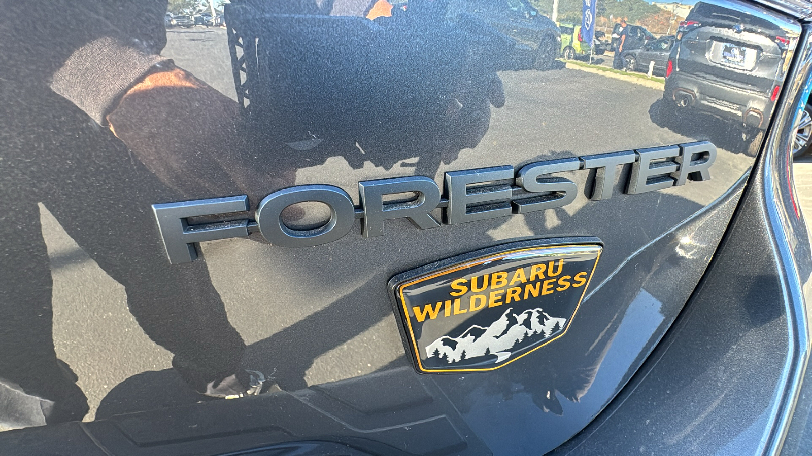 2024 Subaru Forester Wilderness 29