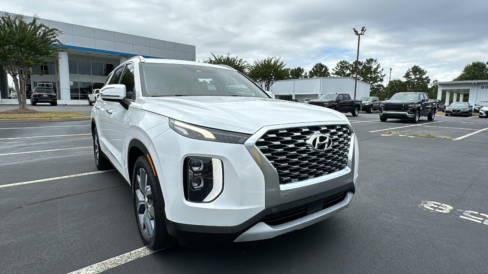 2020 Hyundai Palisade SEL 38