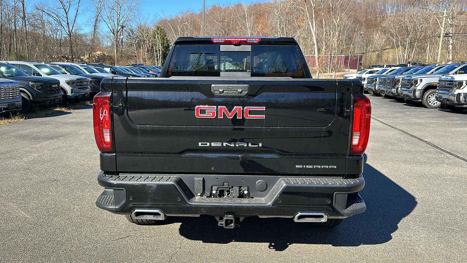 2025 GMC Sierra 1500 Denali 4