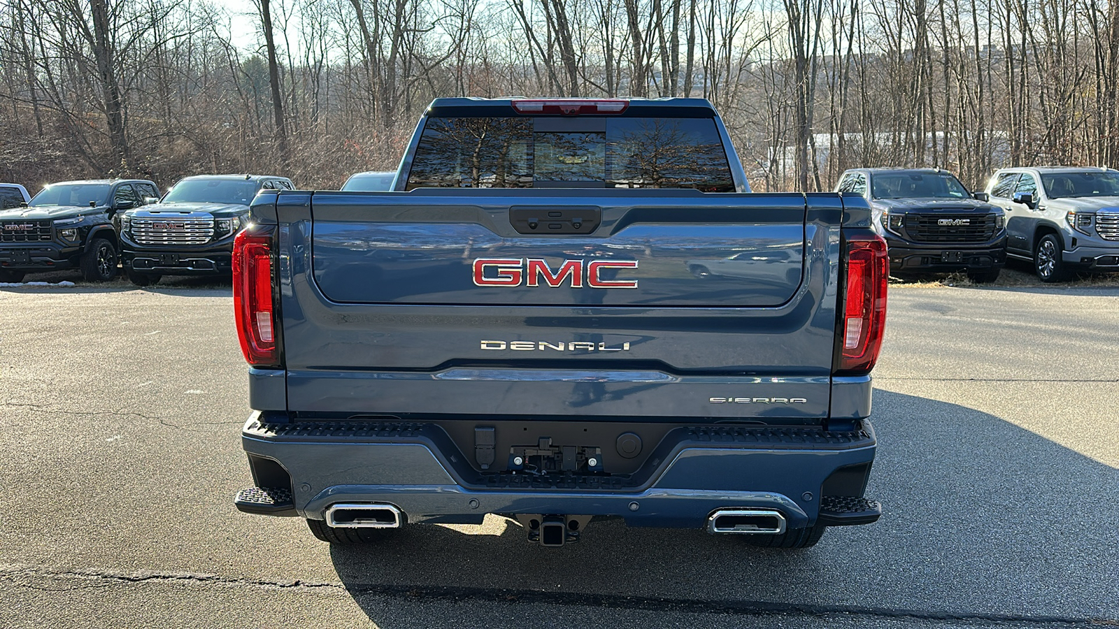 2025 GMC Sierra 1500 Denali 4